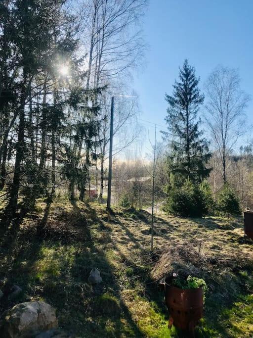 15 Min Fran Ullared! Ny Stuga Med Hoeg Standard! Alvsered Exterior photo